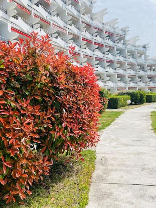 Le Studio La Grande Motte Ngoại thất bức ảnh